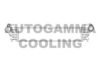 AUTOGAMMA 105946 Intercooler, charger